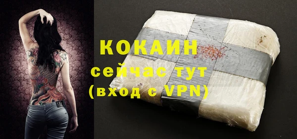 бошки Осинники