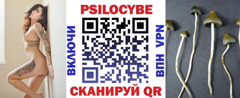 Псилоцибиновые грибы GOLDEN TEACHER наркота Новоузенск